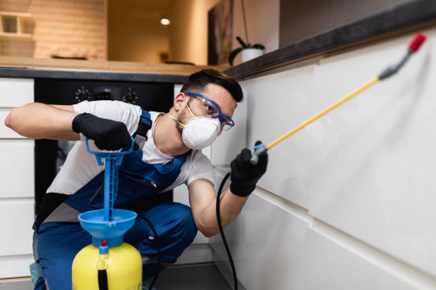 Reliable Alma, GA Pest Control Solutions