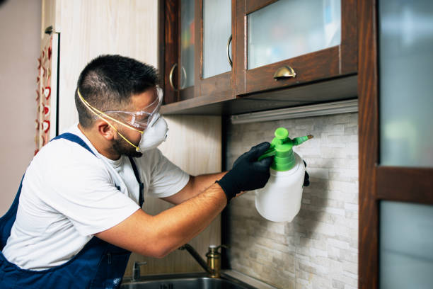 Best Bed Bug Extermination  in Alma, GA