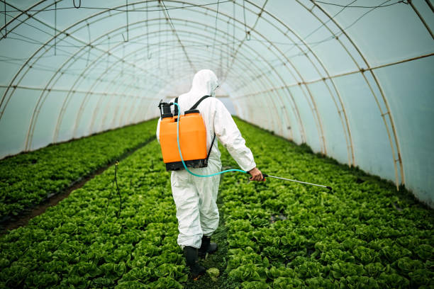 Best Commercial Pest Control Services  in Alma, GA