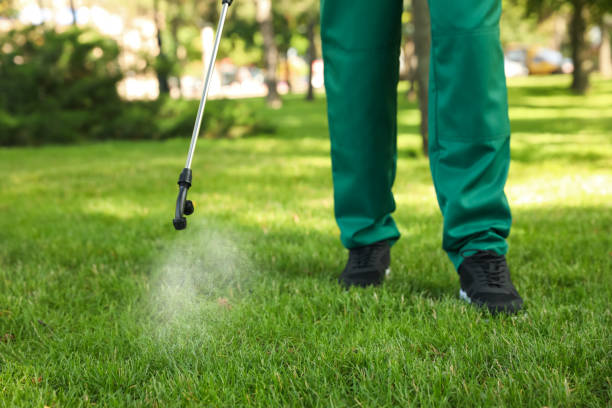 Best Affordable Pest Control Services  in Alma, GA