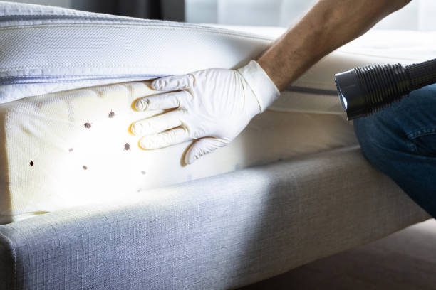 Best Pest Control Cost  in Alma, GA