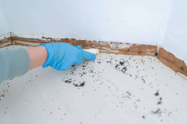 Best Wildlife Control Services  in Alma, GA